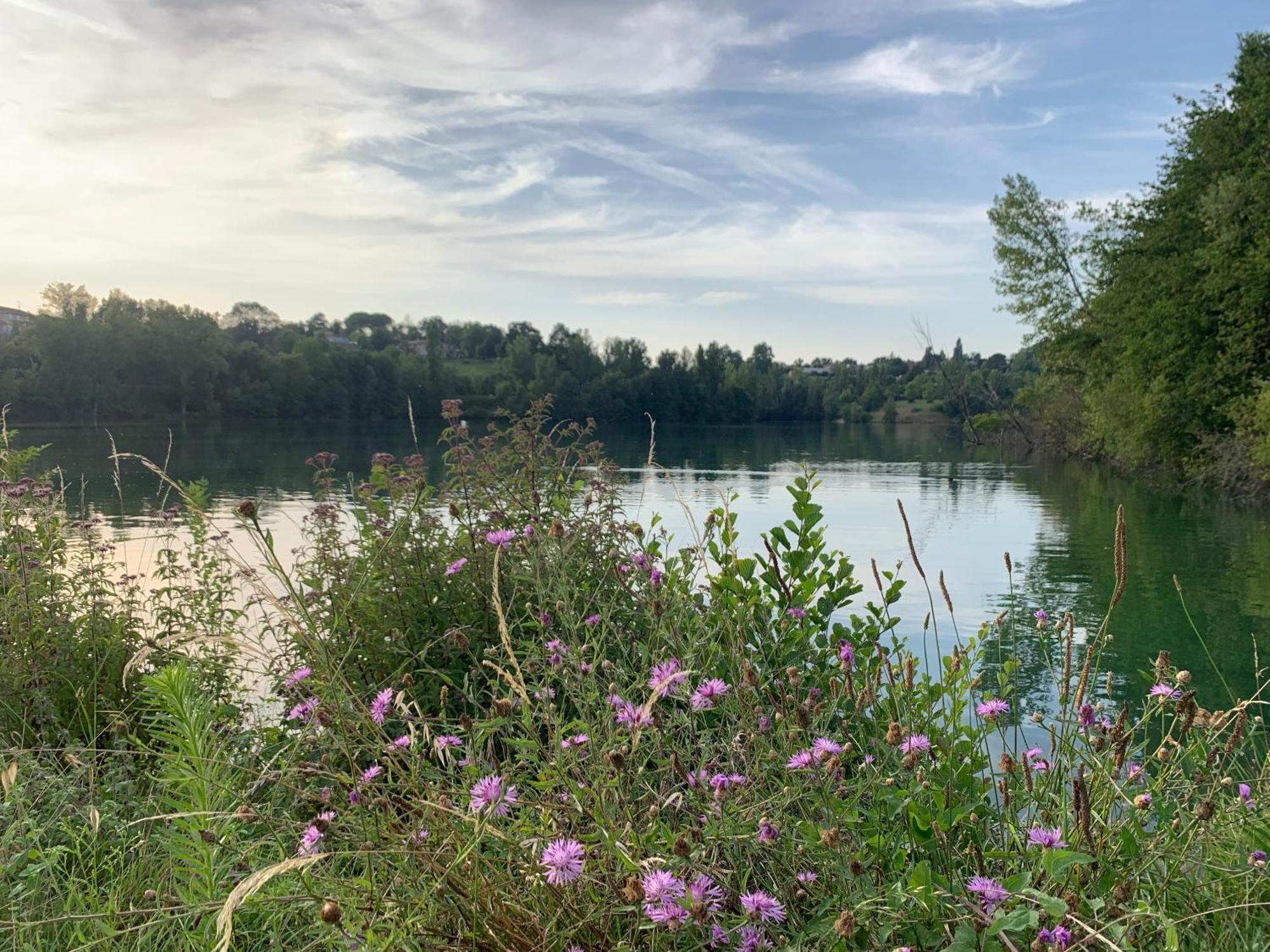 Terres De France - Les Hameaux Des Lacs Monclar-de-Quercy Zewnętrze zdjęcie